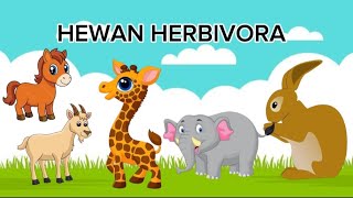 BELAJAR MENGENAL HEWAN HERBIVORA [upl. by Bej]