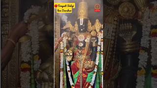 🛑Tirupati Balaji live darshan  Jai balaji  status shorts bhakti bhajan bhaktistatus video [upl. by Reiners543]