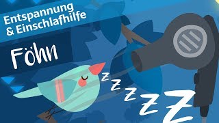 60 Min Föhngeräusch zum Einschlafen  Einschlafhilfe für Babys Kinder amp Erwachsene [upl. by Almond763]