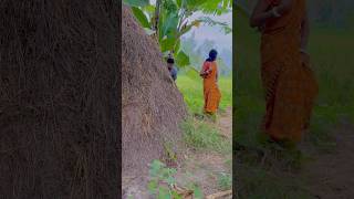 music song bollywood pushpa newsong youtubeshorts funny comedyvideos [upl. by Siobhan]