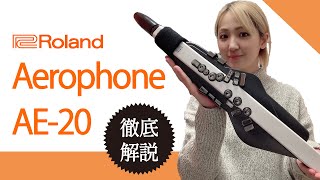 【絶対買い！】最新機種 Roland エアロフォン AE20を徹底解剖してみた！ [upl. by Rowell]