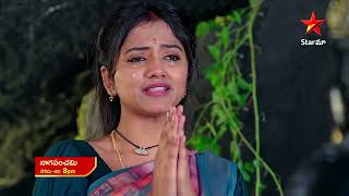 NagaPanchami  Promo  30th Dec 2023  Star Maa Serials  Mon Sat at 8 pm  Star Maa [upl. by Alam]