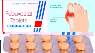 febuget 40 mg use in hindi febuxostat how to use febuget 40 side effects [upl. by Rudy874]