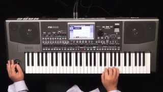 Korg Pa900 KORG TURKEY part 2 By Cuneyt ERTAC [upl. by Nnarefinnej341]