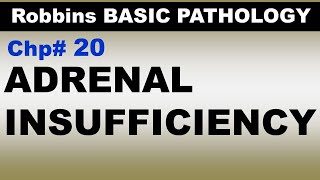 Ch20  ADRENAL Insufficiency  Endocrine Pathology  Dr Asif Lectures [upl. by Ahsikar]