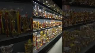 Galatasarays’s Insane trophy collection [upl. by Fineberg416]