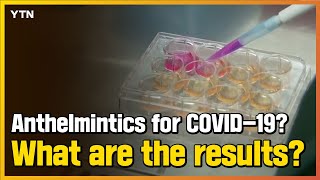 Anthelmintics for COVID19 What are the results  YTN NEWS [upl. by Lucilia693]