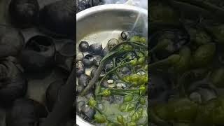 Snails periwinkles steamed with fresh seaweed would you eat this [upl. by Nonnelg]