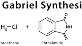 Method Of prepation of Amine by Gabriel phthalimide Synthesis [upl. by Enomar]