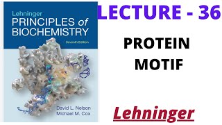 Protein Motifs Lecture  36 Lehninger easily in hindiCSIR NET IIT JAM [upl. by Ishmul]