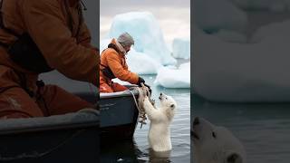 Tiny Polar Bears Heartwarming Rescue polarbearrescue wildlifeconservation arcticanimals [upl. by Milzie]