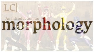 An Introduction to Morphology [upl. by Sitoiyanap]