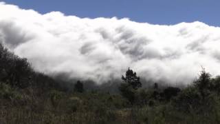 Efecto foehn o föhn viento foehn o föhn en La Palma [upl. by Vinita813]