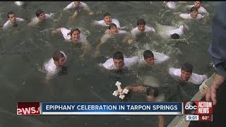 Epiphany Celebration in Tarpon Springs [upl. by Teresita]