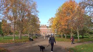 Autumn leaves at Kensington Palace [upl. by Terrena]