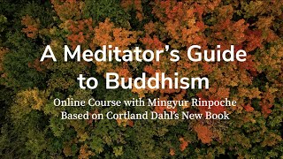 A Meditators Guide to Buddhism – Course Trailer [upl. by Drawoh]