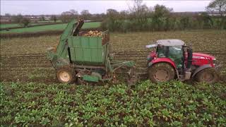 Fodder Beet Harvest 2019 [upl. by Oirtemed]