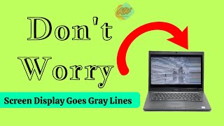 How To Fix Dell laptop Display problem  screen goes Gray with lines [upl. by Rodriguez]