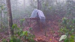 CAMPING HUJAN DERAS  2 HARI CAMPING DI HUTAN KALIMANTAN  KUMPULAN CAMPING SAAT HUJAN DERAS [upl. by Conrad612]