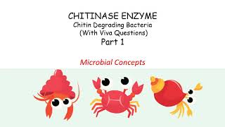 About Chitinase enzyme Part 1  Chitin degrading bacteria  MSc Microbiology practical series [upl. by Rives]