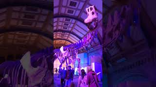 Patagotitan mayorum  Natural History Museum London [upl. by Ludly]