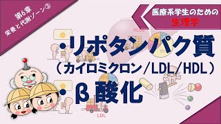 生理学 栄養と代謝ゾーン③ 「リポタンパク質カイロミクロン、LDLHDL）」「β酸化」「コレステロール」「リン脂質」 [upl. by Avehsile]