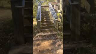 Preddy Creek Trail Park in Charlottesville Virginia [upl. by Roarke]