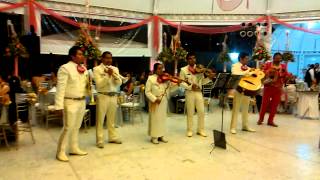 Mariachi mi tierra de Oaxaca mariachis en Oaxaca [upl. by Aicined]