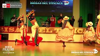 NEGRILLOS DE CHIVAY  NOVAFOLK PERU  Danzas Peruanas  Folklore Peruano [upl. by Aicak]