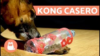 Cómo hacer un KONG casero  Juguetes para perros [upl. by Ahsaeym]