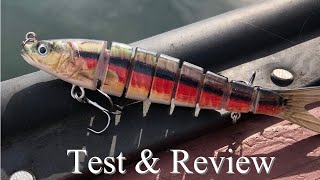 Truscend Swimbait Test and Review [upl. by Sirmons637]