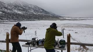 Pistol Caliber Carbine Duels on the Dueling Tree [upl. by Garlen]