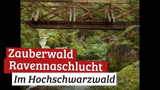 Zauberwald Ravennaschlucht [upl. by Zetroc]