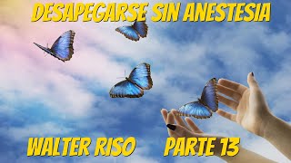 Desapegarse Sin Anestesia  Walter Riso Parte 13 [upl. by Doretta]