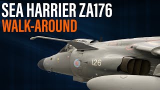 Sea Harrier ZA176  WalkAround [upl. by Goodrow]