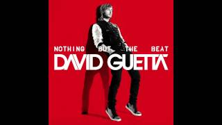 David Guetta  Crank It Up feat Akon Lyrics [upl. by Elorak646]