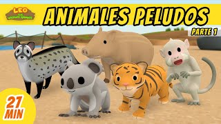 Animales Peludos Episodio Compilación Parte 15 Español  Leo El Explorador  Animación [upl. by Eatnoed649]