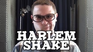 Harlem Shake  Ο ΒΛΑΚΑΣ [upl. by Seuqramed291]