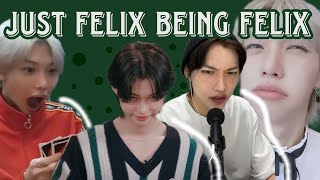 felix being stray kids UNOFFICIAL PABORACHA MEMBER [upl. by Rutger]