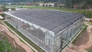 Venlo glass greenhouse with the cooling system and the external sunshade system [upl. by Gallagher]