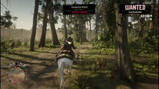 Glitch npc haha  RDR2 [upl. by Kyne]