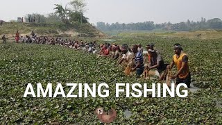 amazing fish hunting in water [upl. by Sleinad]