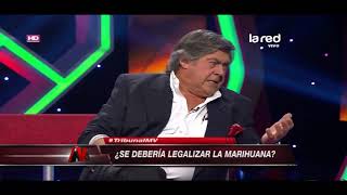 ¿Se debería legalizar la marihuana [upl. by Anilos]