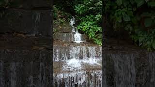 Secret waterfall Darjeeling ❤️💗youtubeshorts youtube shorts shortvideo waterfall [upl. by Ahsiekan909]