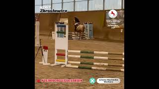 HZRiT Zbrosławice ➡ Liliana Machecka i Woltiara 70 cm teampiaffequestrian horse konie equestrian [upl. by Derej699]