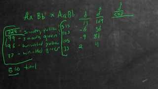 Genetics Chisquared  Example Problem [upl. by Imled]