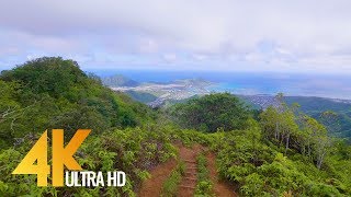 4K Virtual Walk  Walking in the Forest  Hawaiian Kuliouou Ridge Trail  15 HRS [upl. by Eniamrehc]