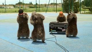 Marmottes de france 3 [upl. by Fogarty334]