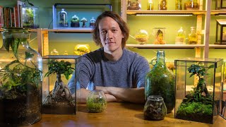 the ultimate terrarium guide [upl. by Sioux]