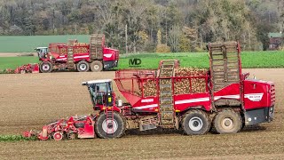 Grimme Rexor 6300 Platinum x2  Saintenoy amp Fils [upl. by Apurk610]